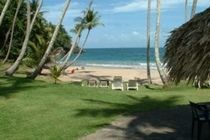Tambora Beach Suites ลาสแตร์เรนาส ภายนอก รูปภาพ
